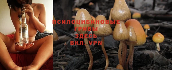 а пвп мука Абдулино