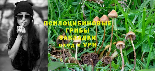 а пвп мука Абдулино