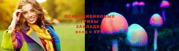 хмурый Абинск
