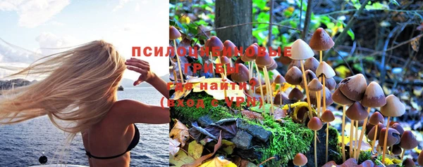 а пвп мука Абдулино