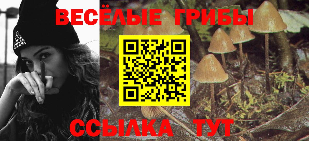 Псилоцибиновые грибы мухоморы  Вход с VPN  Псков  Псилоцибиновые грибы MAGIC MUSHROOMS 